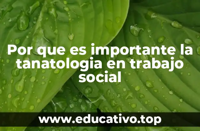 Por que es importante la tanatologia en trabajo social