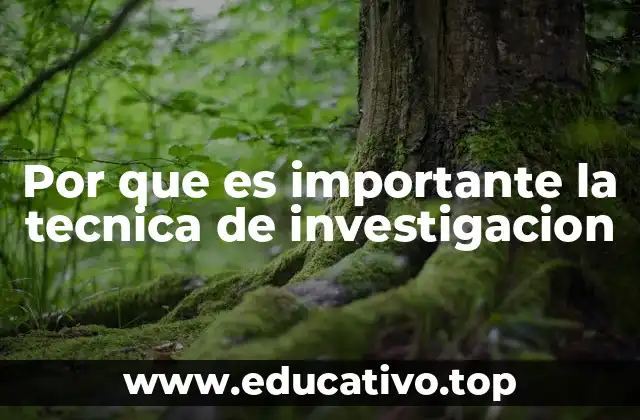 Por que es importante la tecnica de investigacion