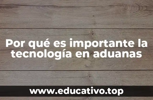 Por qué es importante la tecnología en aduanas