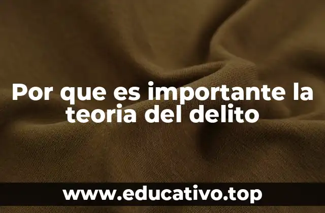 Por que es importante la teoria del delito