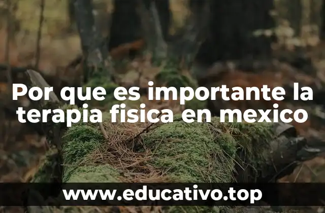Por que es importante la terapia fisica en mexico