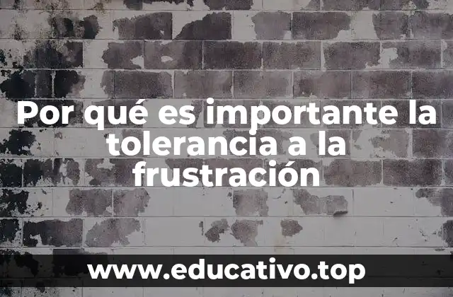 Por qué es importante la tolerancia a la frustración