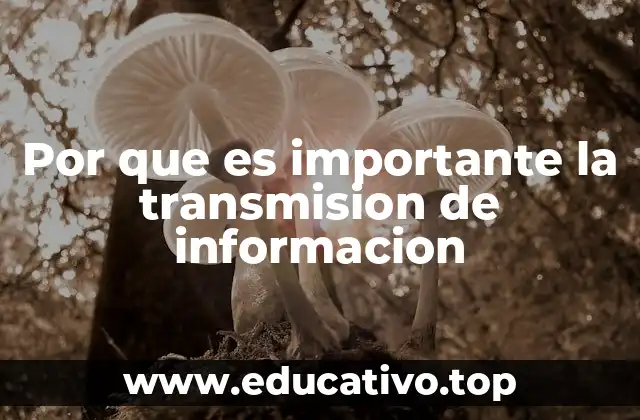 Por que es importante la transmision de informacion