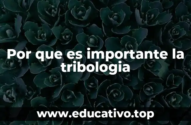 Por que es importante la tribologia