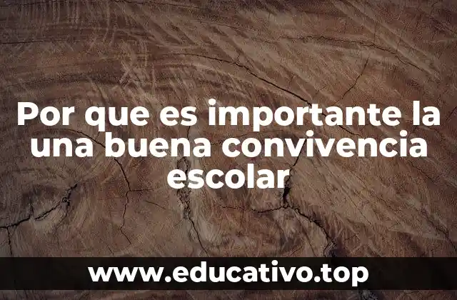 Por que es importante la una buena convivencia escolar