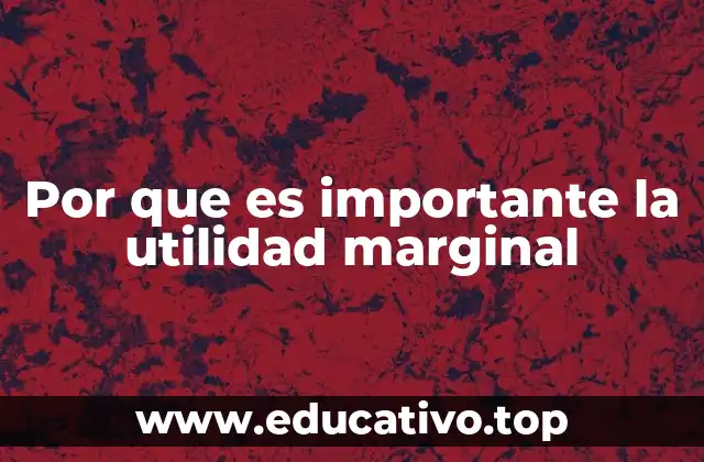 Por que es importante la utilidad marginal