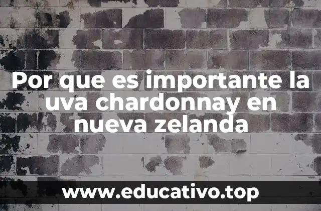 Por que es importante la uva chardonnay en nueva zelanda