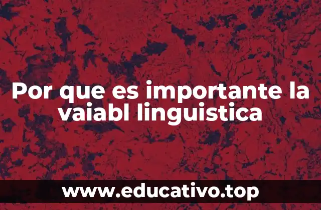 Por que es importante la vaiabl linguistica