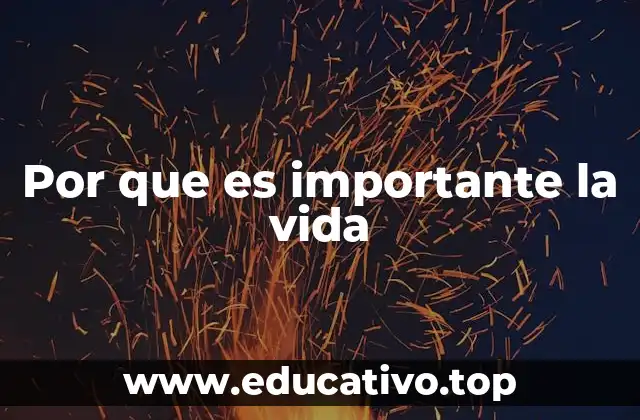 Por que es importante la vida