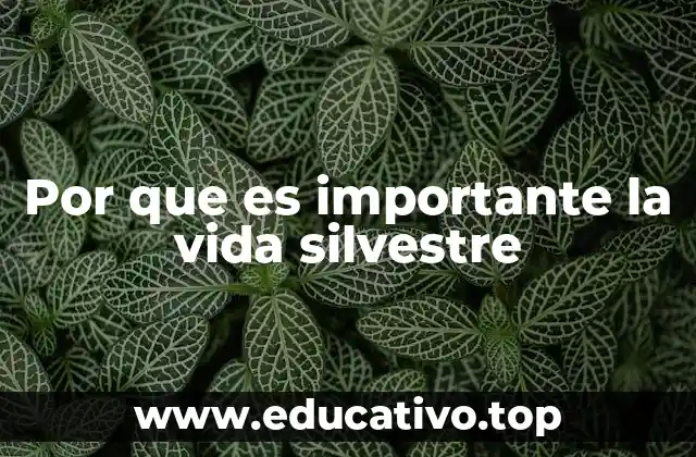 Por que es importante la vida silvestre