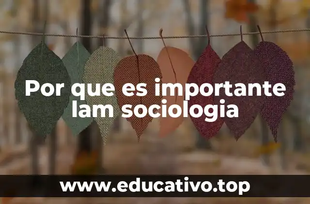 Por que es importante lam sociologia