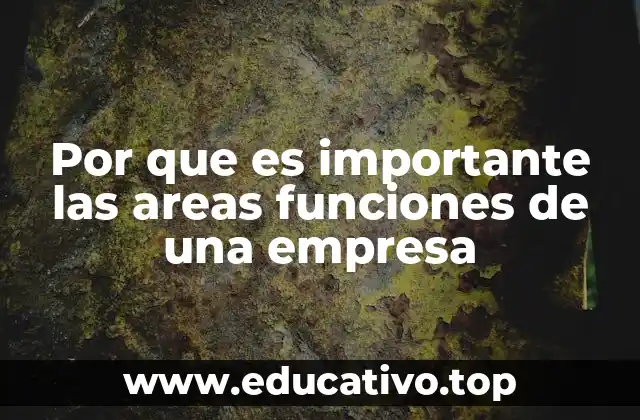 Por que es importante las areas funciones de una empresa