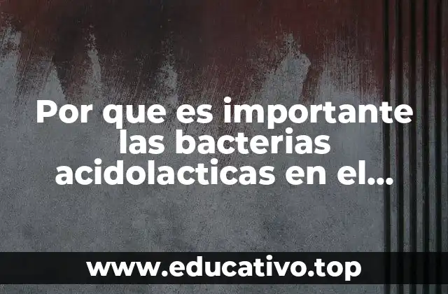 Por que es importante las bacterias acidolacticas en el estomago