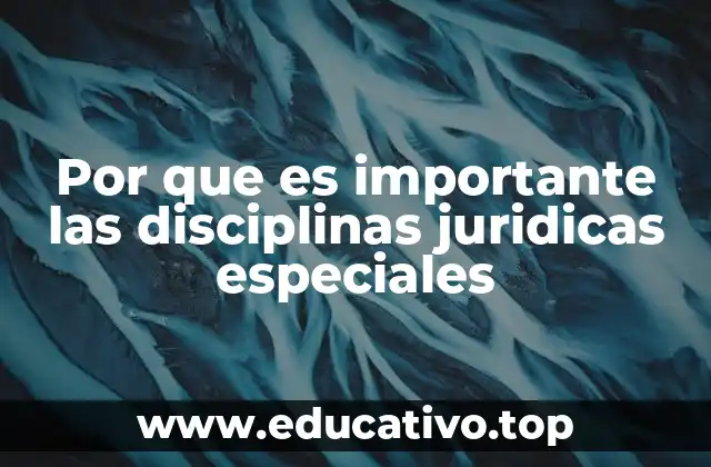 El papel de las especialidades jurídicas en la solución de conflictos modernos