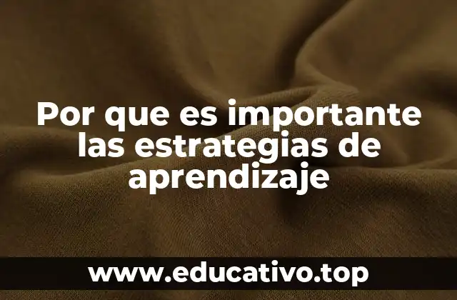 Por que es importante las estrategias de aprendizaje