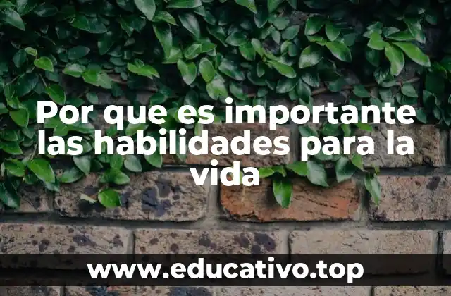 Por que es importante las habilidades para la vida