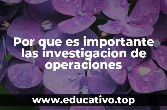 Por que es importante las investigacion de operaciones