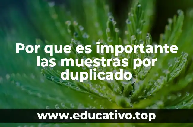 Por que es importante las muestras por duplicado