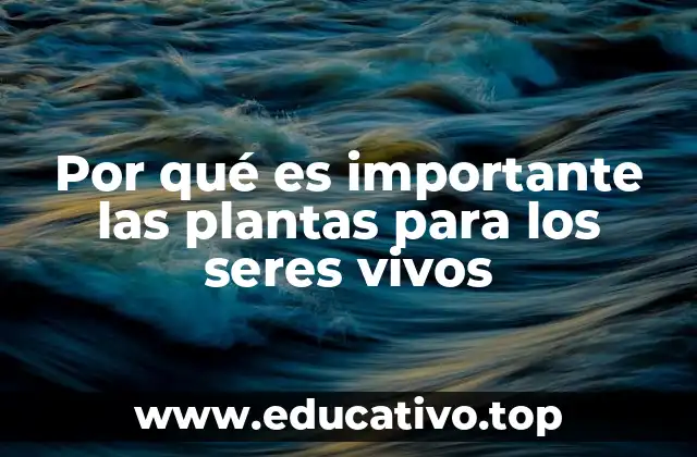 Por qué es importante las plantas para los seres vivos
