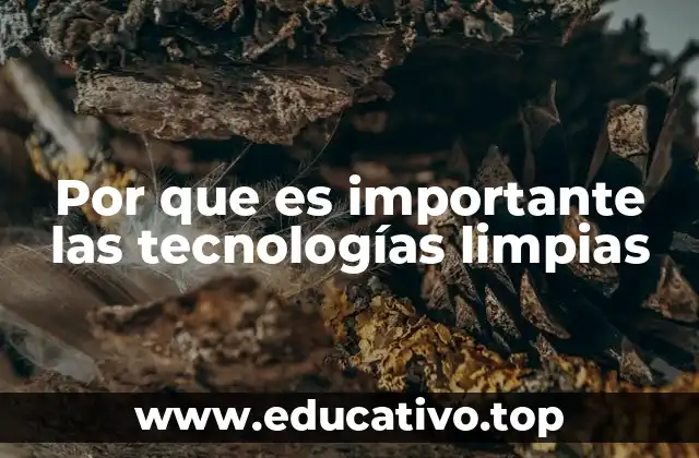 Por que es importante las tecnologías limpias