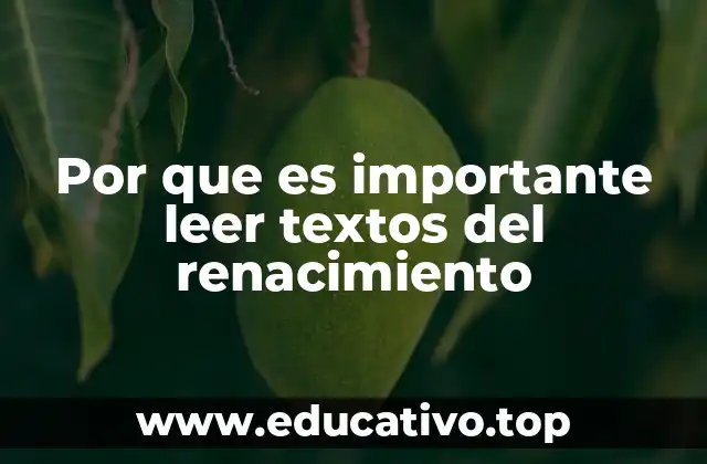 El legado intelectual del Renacimiento en la formación de la identidad europea