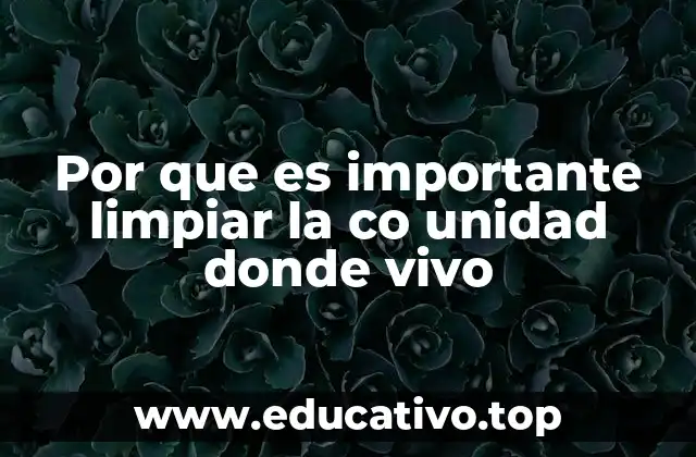 Por que es importante limpiar la co unidad donde vivo