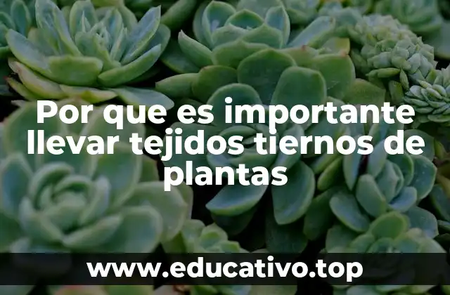 Por que es importante llevar tejidos tiernos de plantas