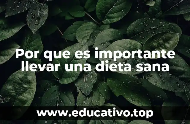 Por que es importante llevar una dieta sana