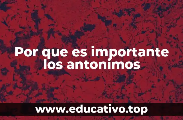 Por que es importante los antonimos