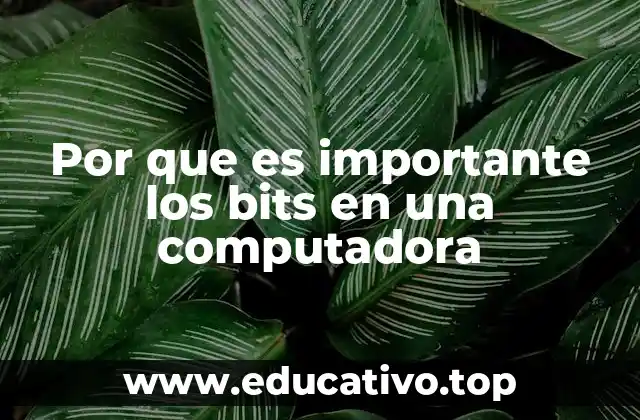 Por que es importante los bits en una computadora