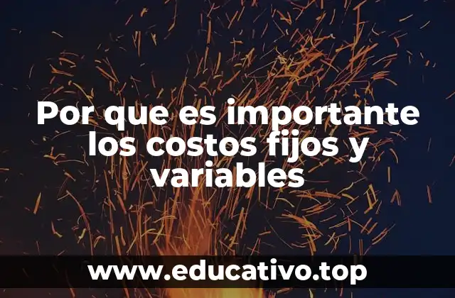 Por que es importante los costos fijos y variables
