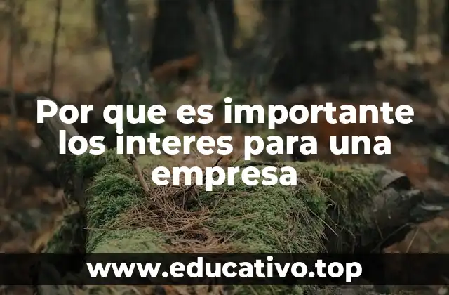 Por que es importante los interes para una empresa
