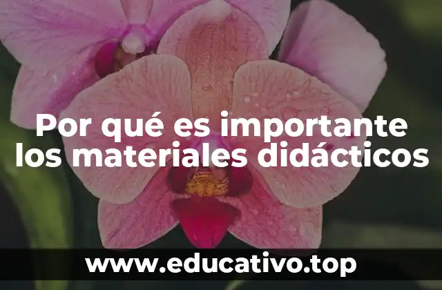Por qué es importante los materiales didácticos