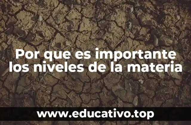 La importancia de entender la estructura jerárquica de la materia