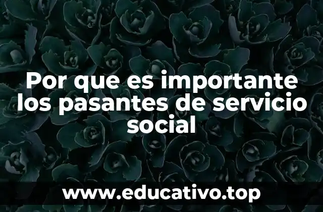 Por que es importante los pasantes de servicio social
