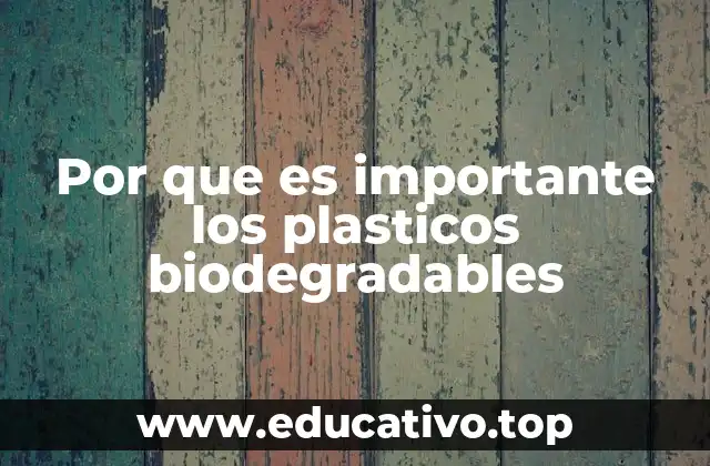 Por que es importante los plasticos biodegradables