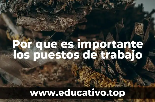 Por que es importante los puestos de trabajo