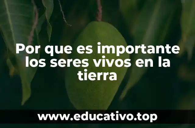 Por que es importante los seres vivos en la tierra