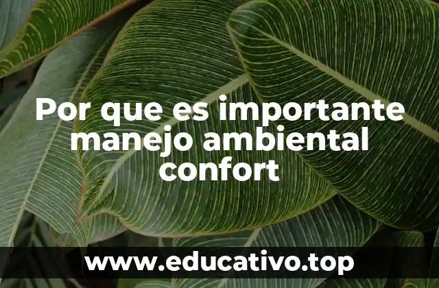 Por que es importante manejo ambiental confort