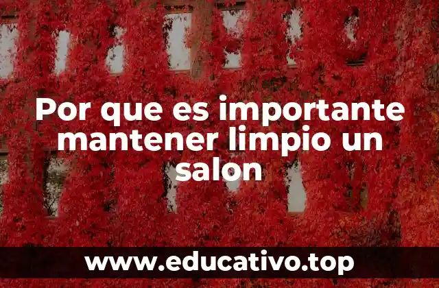 Por que es importante mantener limpio un salon