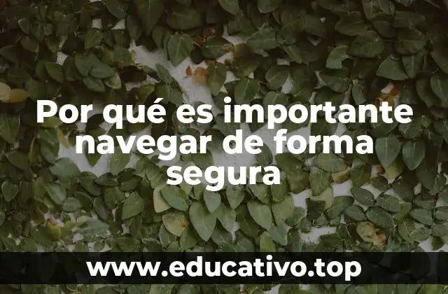 Por qué es importante navegar de forma segura