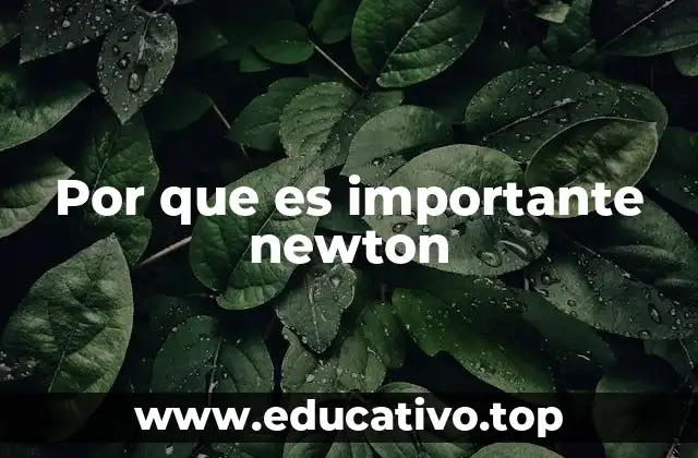 Por que es importante newton