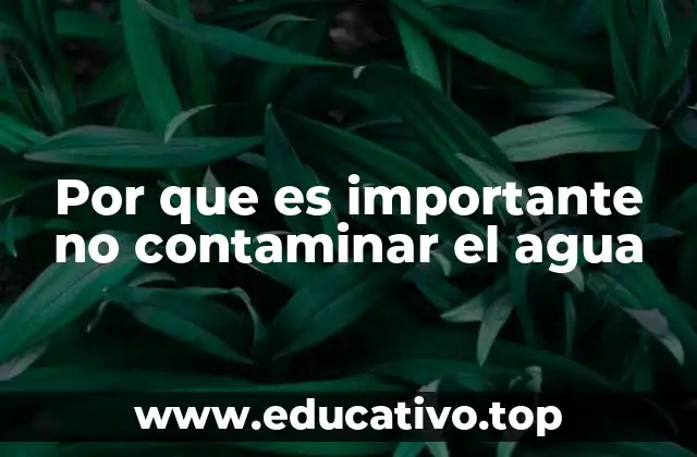 Por que es importante no contaminar el agua