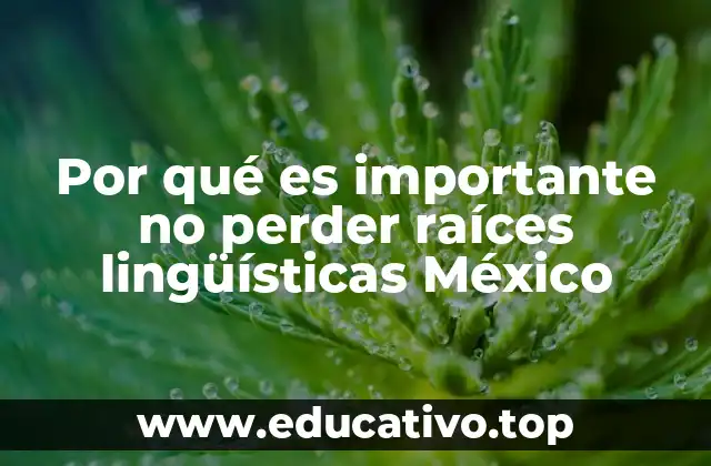 Por qué es importante no perder raíces lingüísticas México