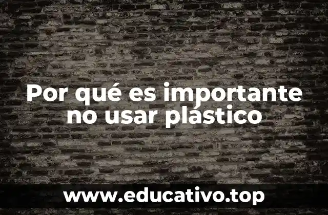 Por qué es importante no usar plástico