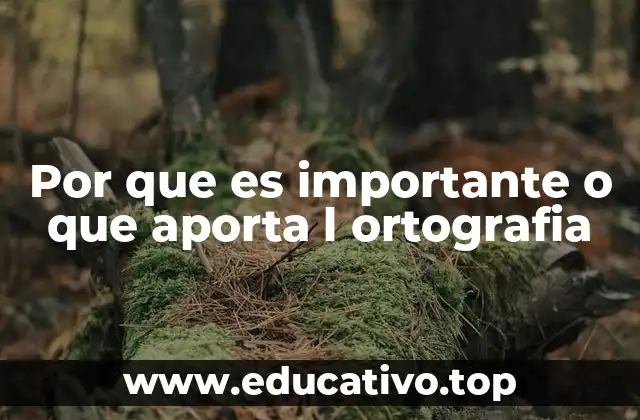 Por que es importante o que aporta l ortografia