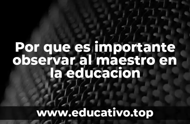 Por que es importante observar al maestro en la educacion