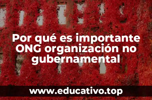 Por qué es importante ONG organización no gubernamental