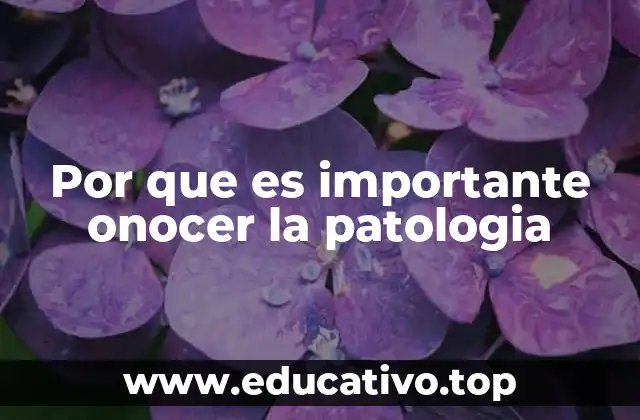 Por que es importante onocer la patologia