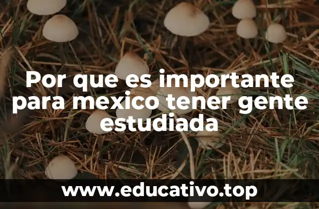 Por que es importante para mexico tener gente estudiada